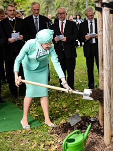 Königin Margrethe II. aus Dänemark ist Baumpatin einer Esche im Luthergarten. (Foto: epd-Bild/Jens Schlueter)