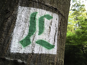 Markierung des Lutherwegs mit einem grünen "L" an einem Baum im Stadtwald in Neu-Isenburg bei Frankfurt am Main. (Foto: epd-Bild/Norbert Neetz)