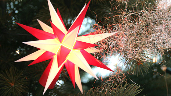Ein Hernnhuter Stern am Weihnachtsbaum. (Foto: epd-Bild/Jens Trenkler)