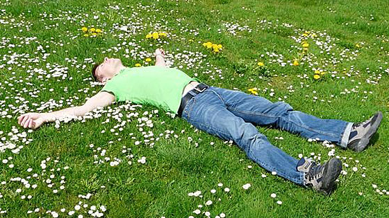 liegender Mann auf Blumenwiese