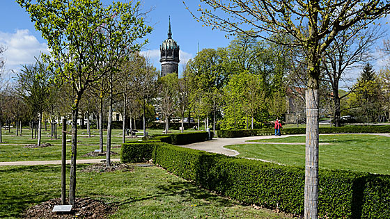 Schlosskirche Wittenberg und Luthergarten