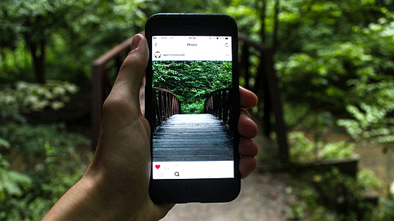Smartphone mit Bild von einer Brcke im Wald