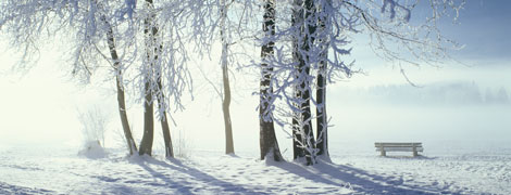 Winterlandschaft mit Fußspuren