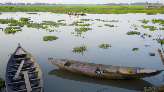 Landschaft im Sden von Bangladesch (Brot fr die Welt/Norbert Neetz)